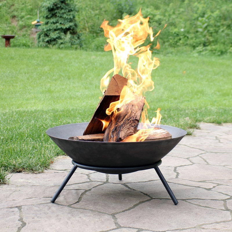 Wrought Studio Eckard Raised Cast Iron Wood Burning Fire Pit & Reviews